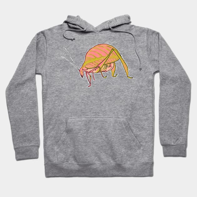 Rose-tinted katydid or Eulophophyllum kirki, just a friendly flamingo-pink insect Hoodie by tostoini